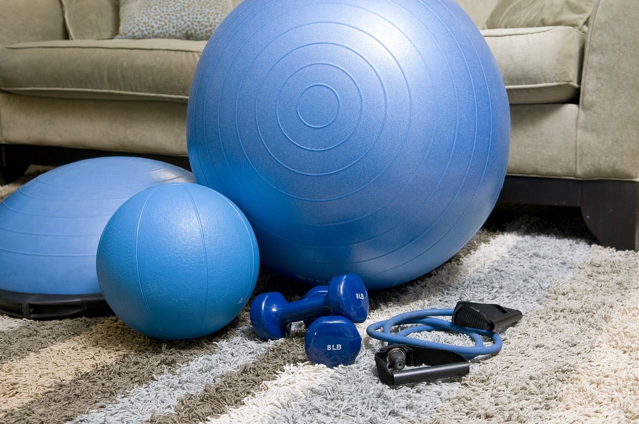 Blue Stability Ball, Medicine Ball, Home Workout Gear