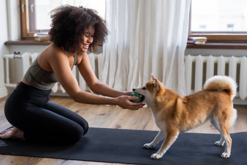 Working out with dog